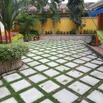 Panama-Madera-3