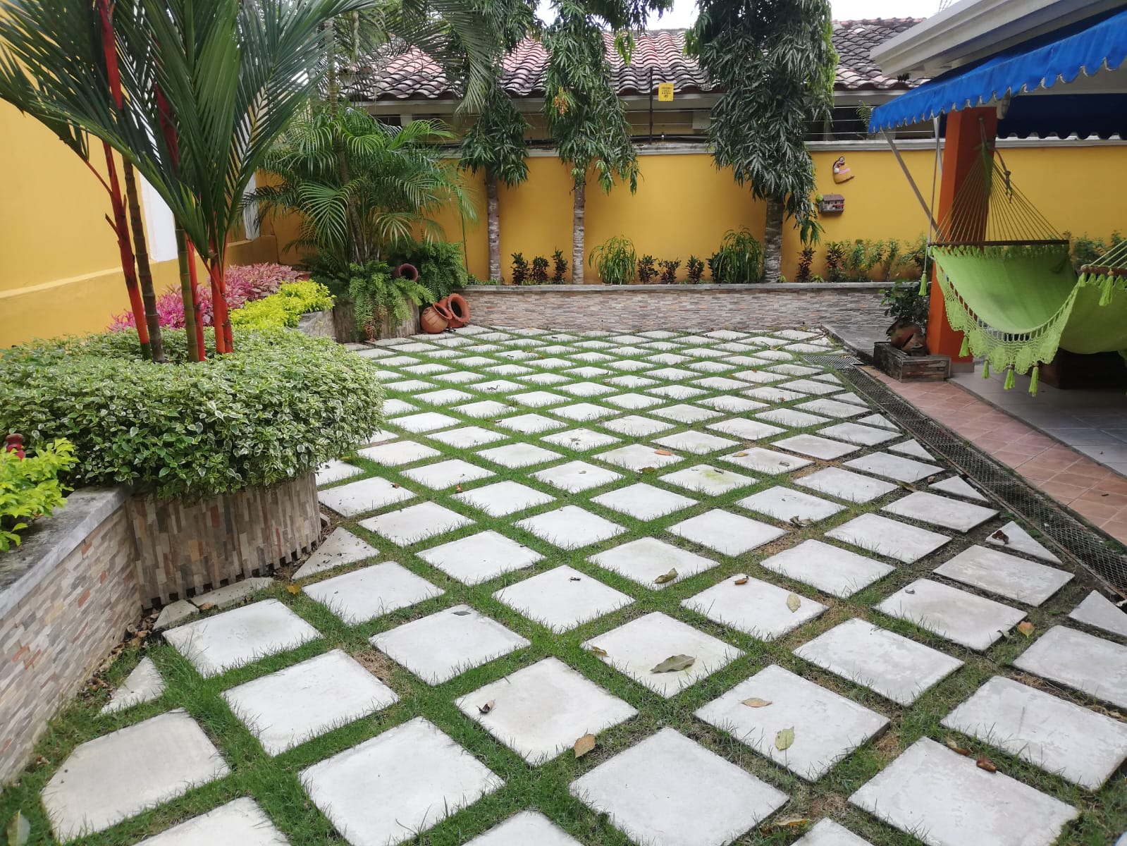 Panama-Madera-3